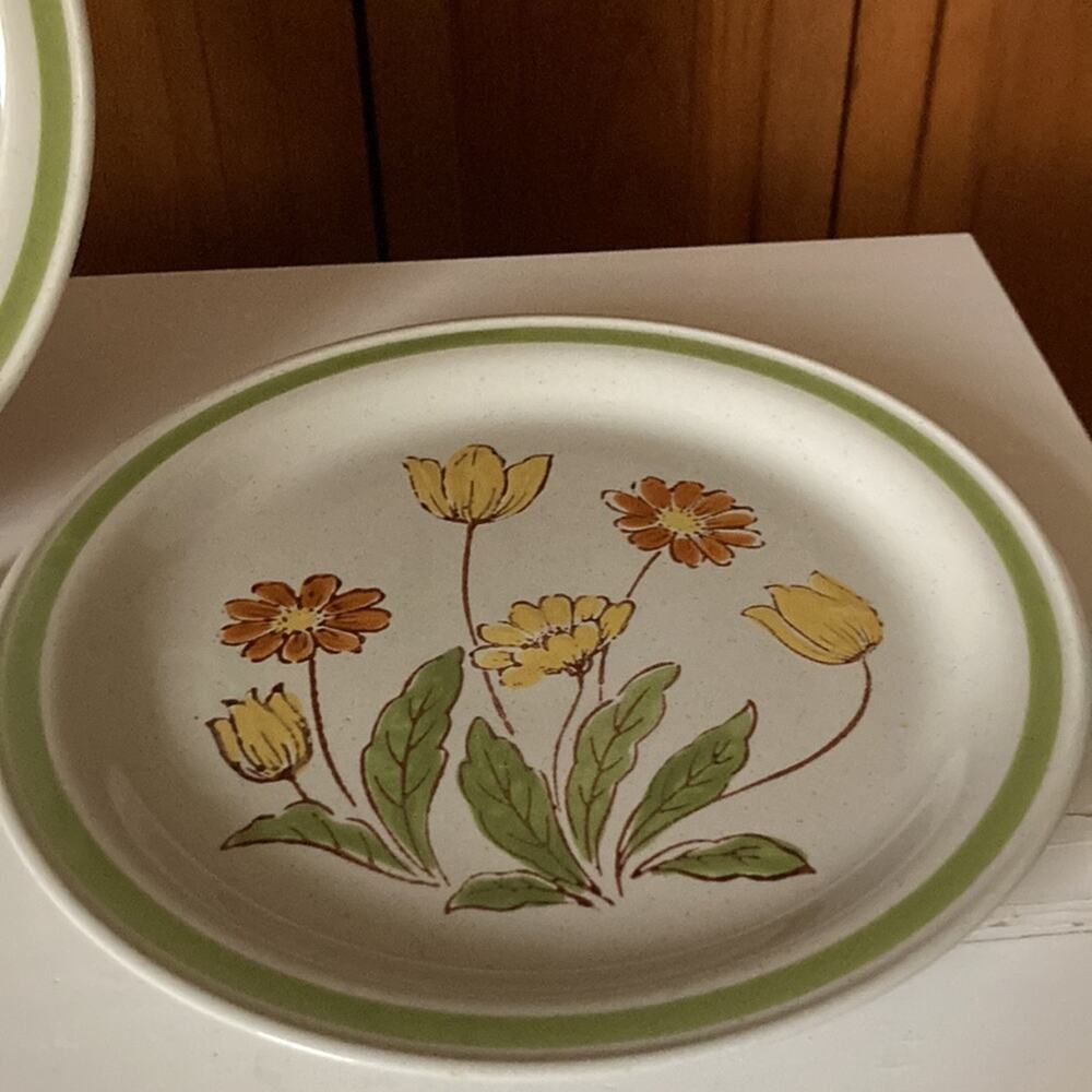 Vintage Country Casual “Sunnyvale” Dinner Plates, Set of 2 - Picture 7 of 10